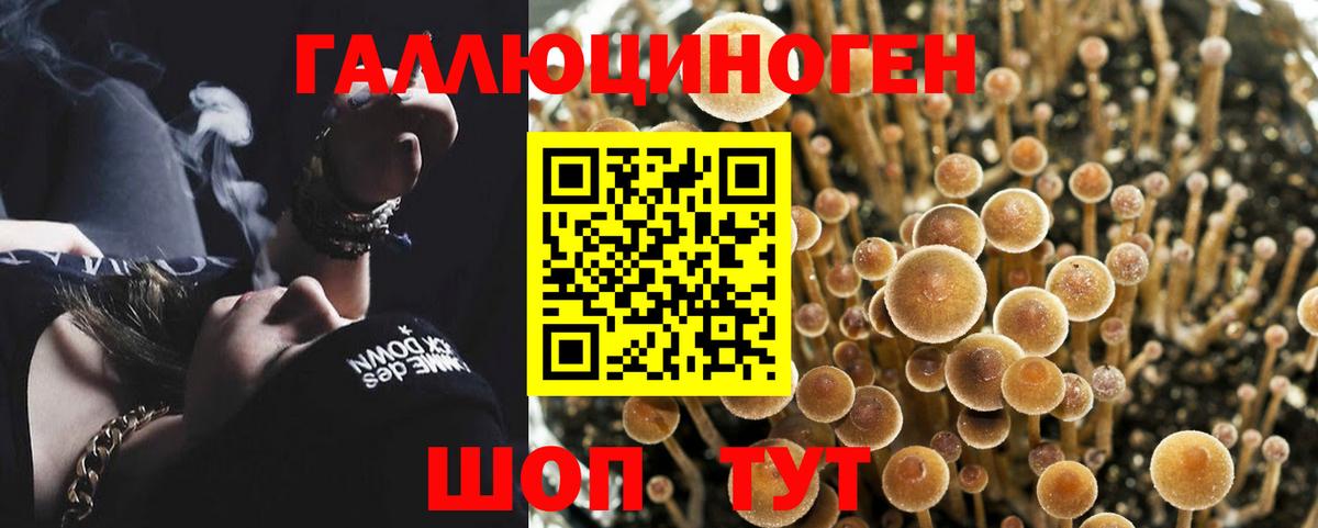 Псилоцибиновые грибы мицелий  Вход с VPN  Чистополь  Галлюциногенные грибы Cubensis 