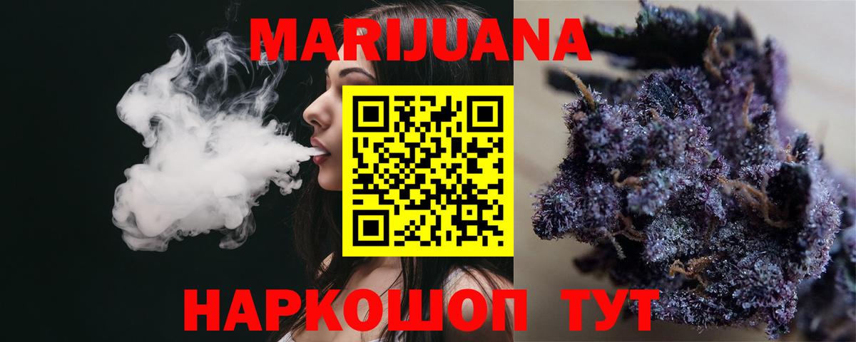 Бошки Шишки планчик Чистополь